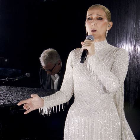 celine dion annonce dior|celine dior gown.